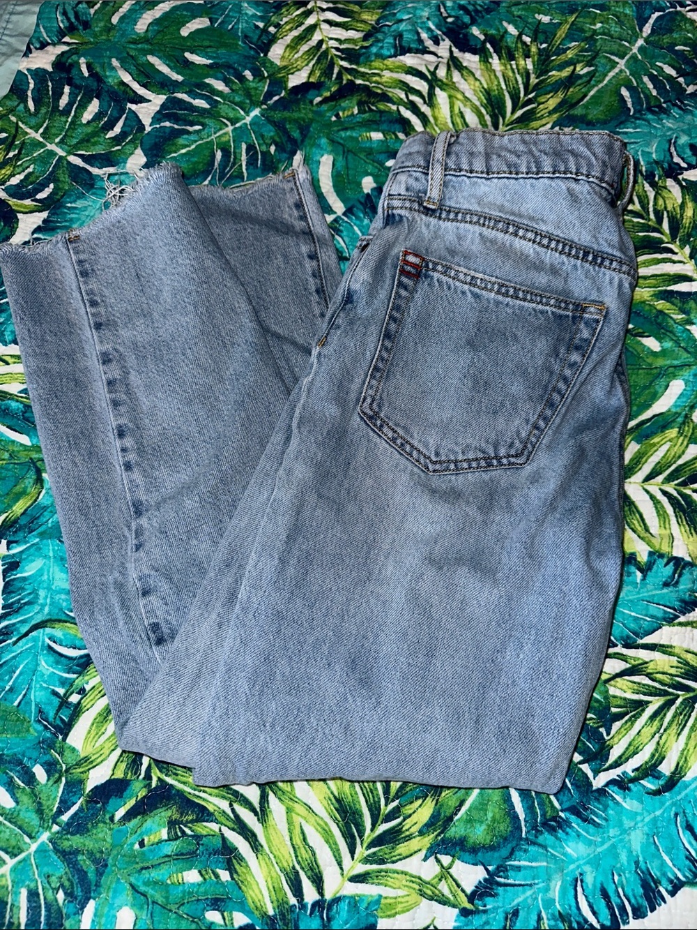 BDG Classic Light Blue Women’s Slim Straight Crop Jeans 25